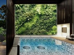 East View Garden (D16), Terrace #481288641